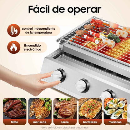 grill plancha bruleur independant
